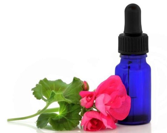 Geranium essential oil