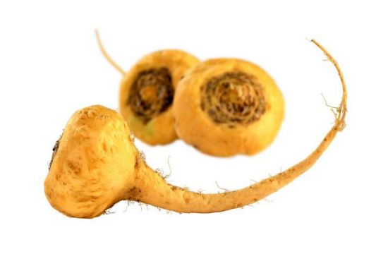 Health Benefits of Maca Health Benefits of Maca