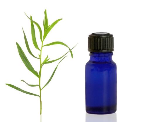 Health Benefits of Tarragon Essential Oil Health Benefits of Tarragon Essential Oil