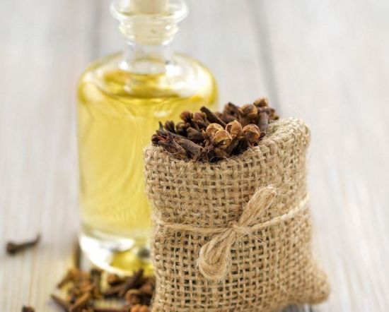 Health Benefits of Clove Oil Health Benefits of Clove Oil