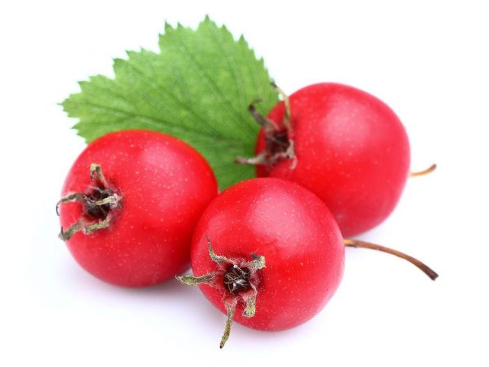 berries and health benefits