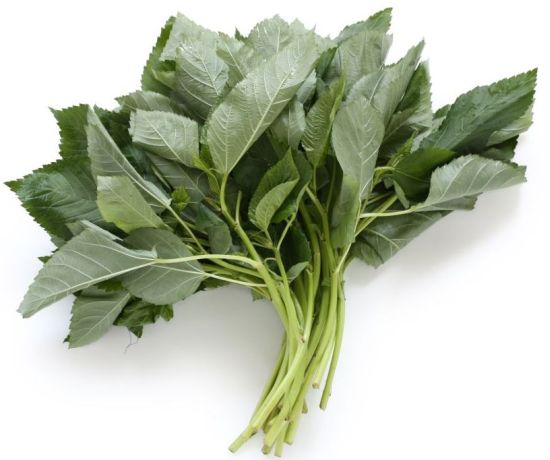 Health Benefits of Molokhia Health Benefits of Molokhia