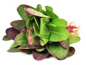 Health Benefits of Orach Health Benefits of Orach