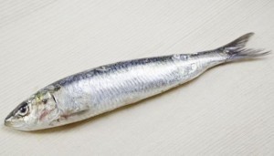 Health Benefits of Sardines Health Benefits of Sardines