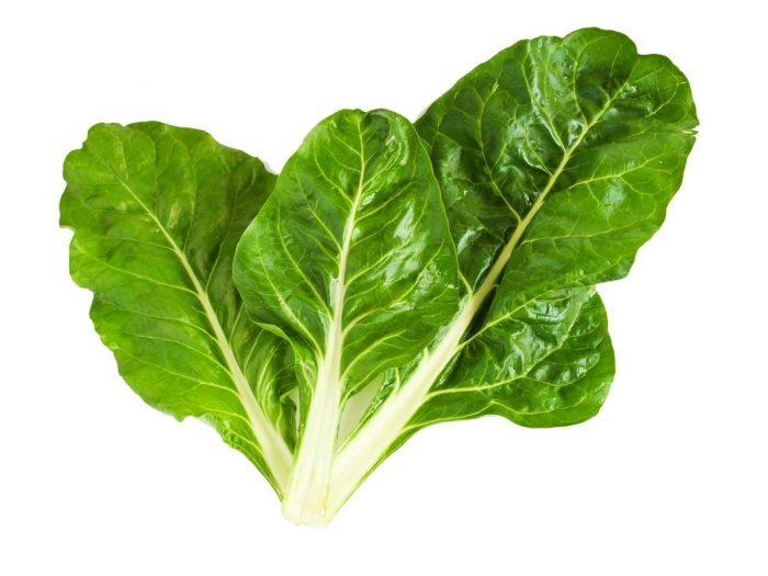 Health Benefits of Swiss Chard Health Benefits of Swiss Chard