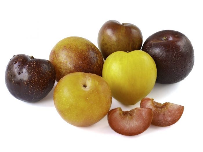 health-benefits-of-pluots-organic-facts