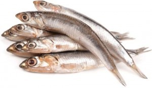 Health Benefits of Anchovies Health Benefits of Anchovies