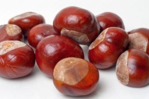 Health Benefits of Chestnuts Health Benefits of Chestnuts