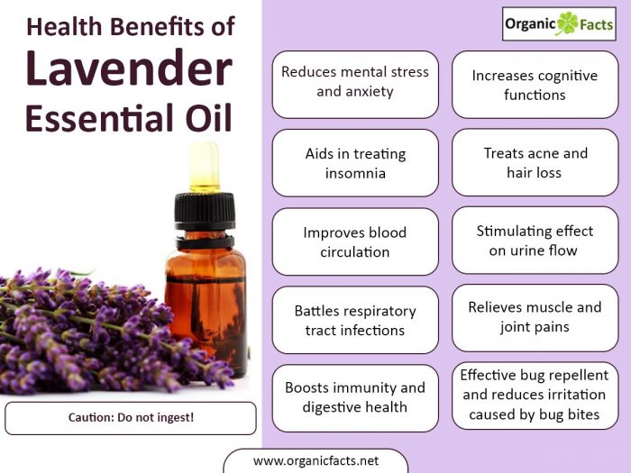 lavenderoil