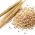 Health Benefits of Barley