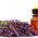 Health Benefits of Lavender Essential Oil