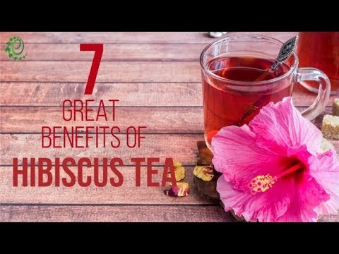 Hibiscus flower infusion: hibiscus herbal tea Boost Me