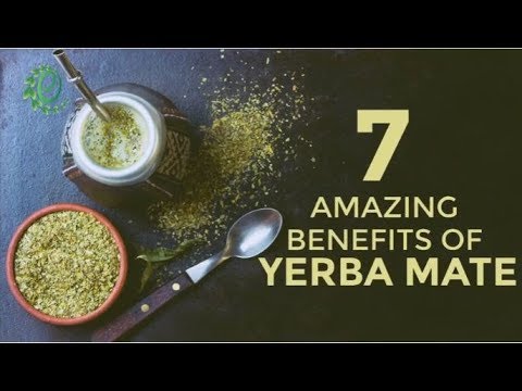 Yerba Mate的11大好处|苦荞之家