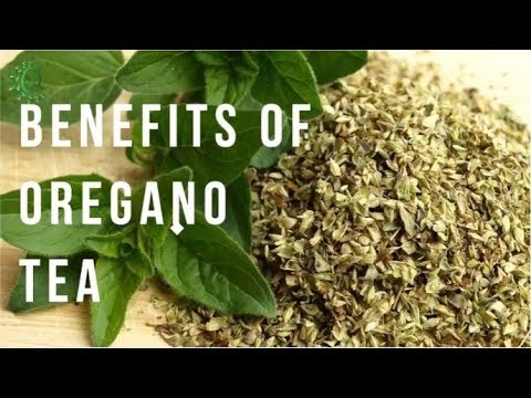 oregano