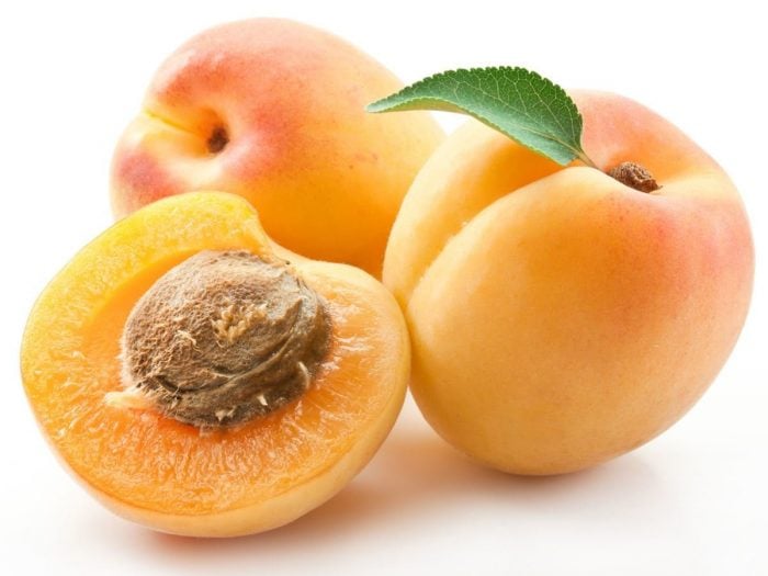 Image result for APRICOTS