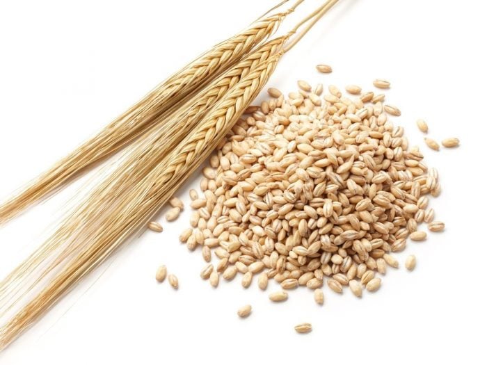 Stabilized Rice Bran–Just the Facts, Please