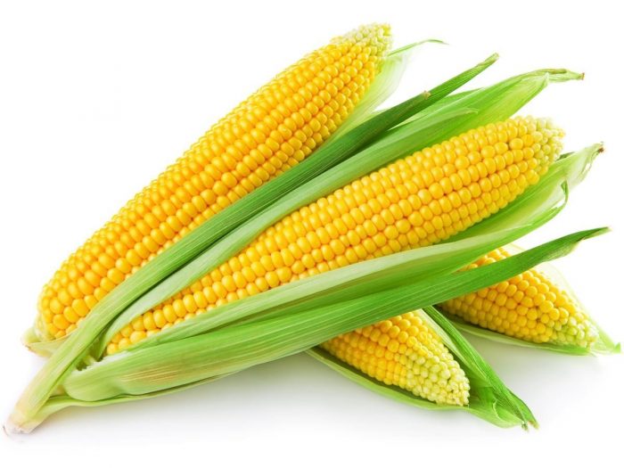 Corn12