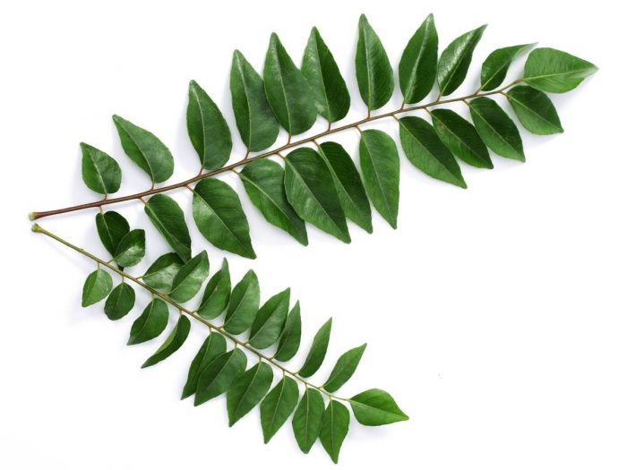 Curry leaves