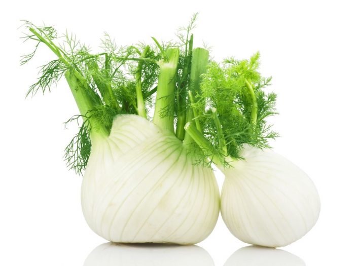 Image result for fennel