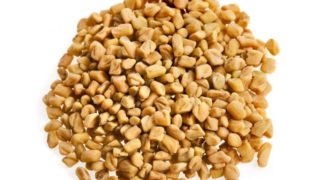 snapping hip syndrome