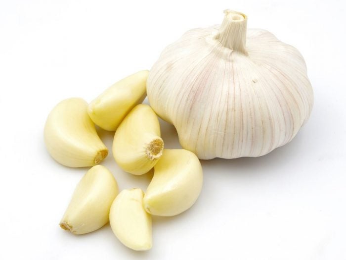 Image result for Garlic