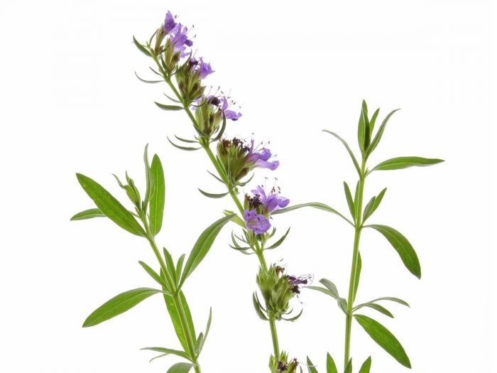 ... poor circulation, such as rheumatism, arthritis , gout , and swelling