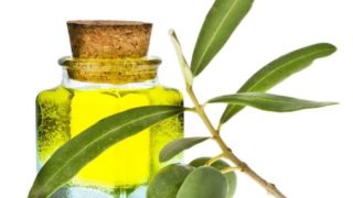 Bottle of oil with a sprig of olive against a white background
