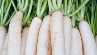 A close-up image of white radish or daikon