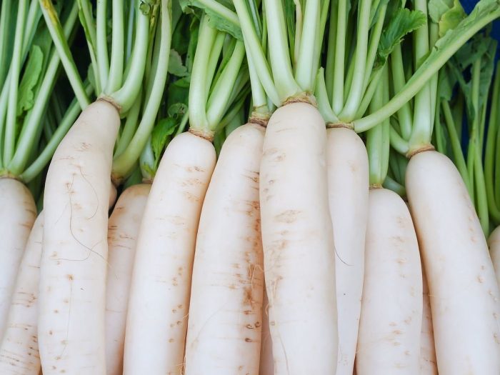 Radish: Research-Backed Benefits & How To Use | Organic Facts