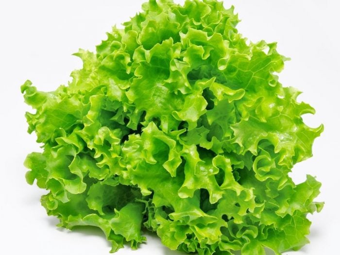 lettuce2 - IS SLA EEN GROENTE OF FRUIT?