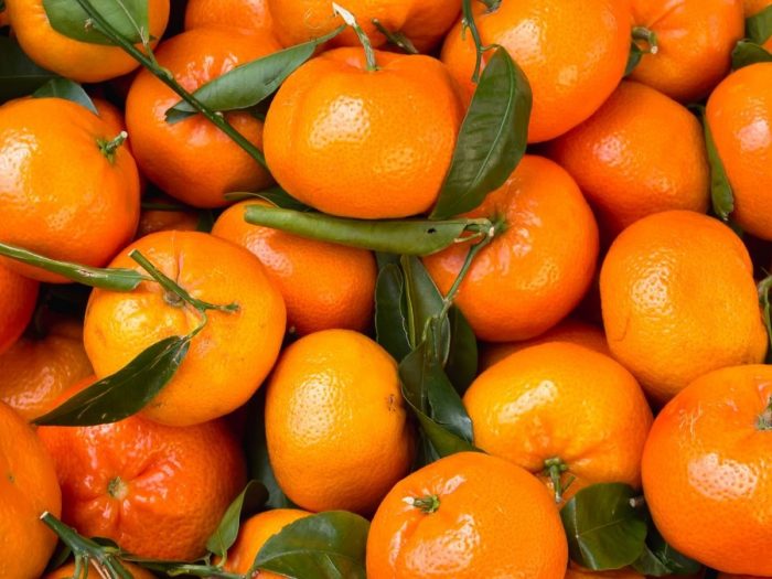 clementine calories clementine calories