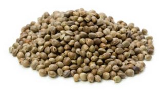 10 Best Benefits of Hemp Seed