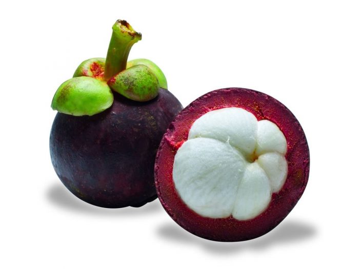 Mangosteen1