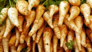 Close-up of fresh raw parsnip roots with leaves in a market