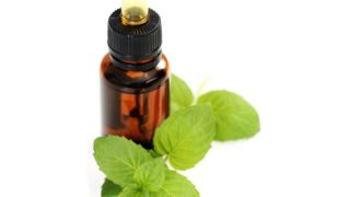 Peppermint oil bottle with fresh peppermint leaves on a white background