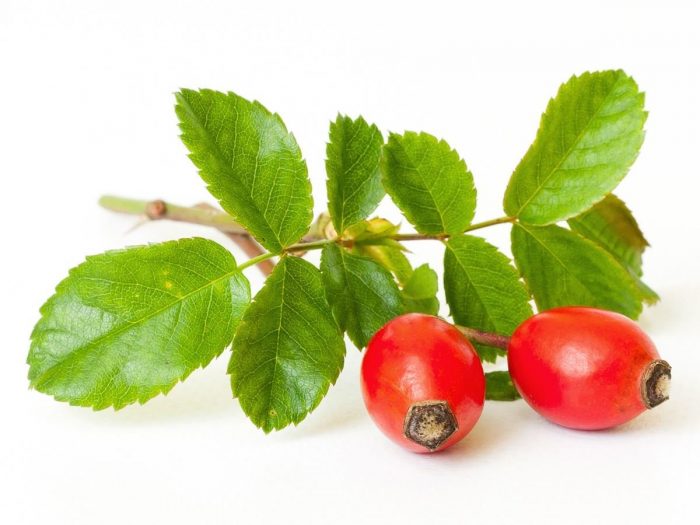 Rosehips