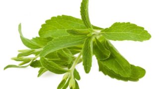 Stevia Leaf Extract: Benefits, Side Effects & More