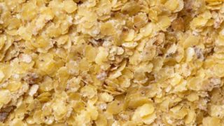 Close-up shot of wheat germ flakes