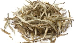 10 Amazing Benefits of White Tea