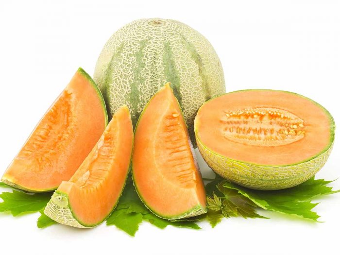 can dogs eat cantaloupe skin