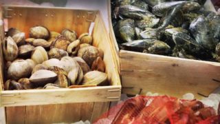 Close up of clams in crates on ice
