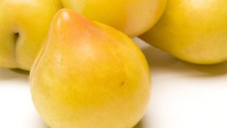 Close-up of lemon plum on a white surface