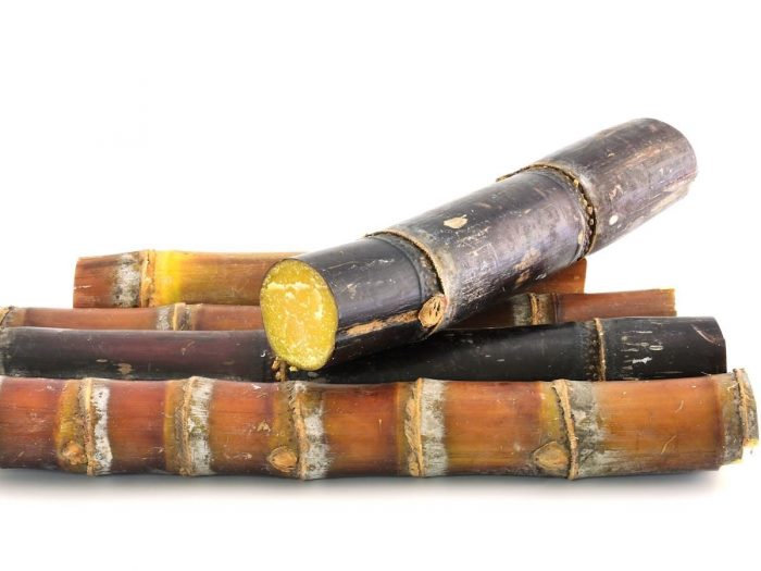 Where does sugar cane come from?