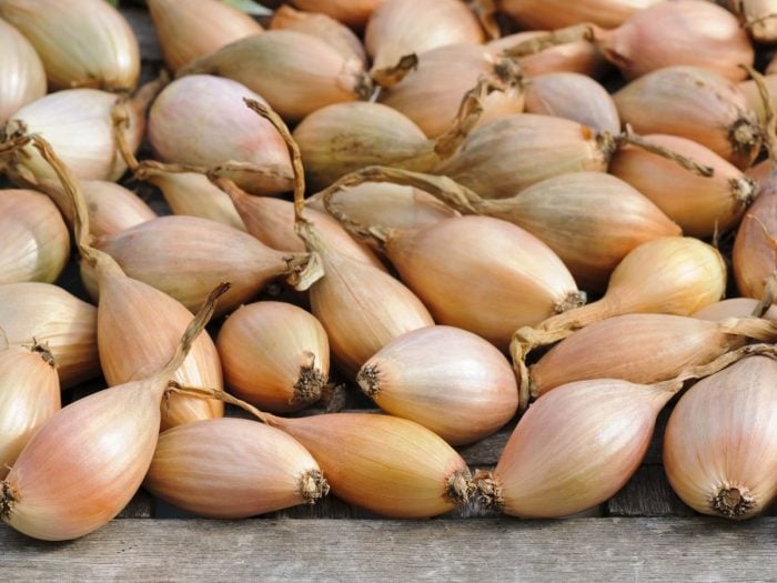 What are Shallots Plus Health Benefits - Healthier Steps