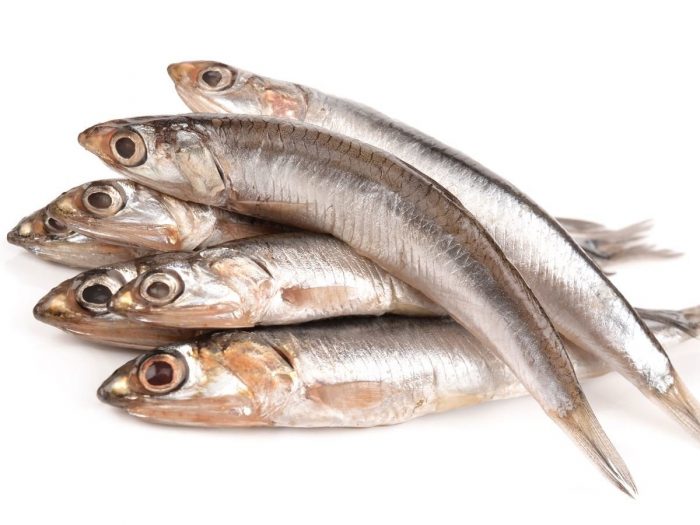 Health Benefits of Anchovies | Organic Facts