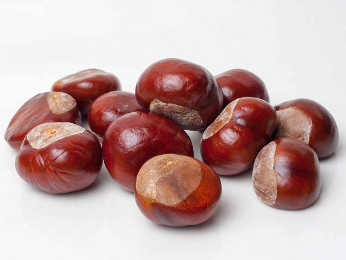 7 Best Benefits of Chestnuts Organic Facts