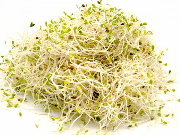 sprouts