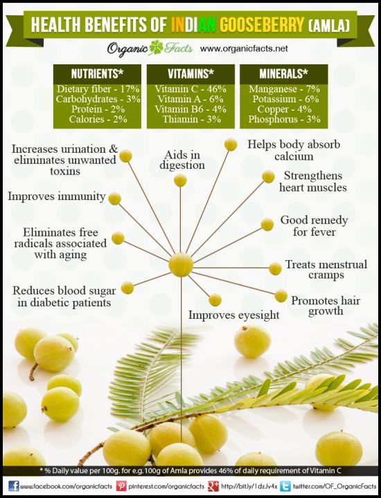Indian gooseberry health benefits