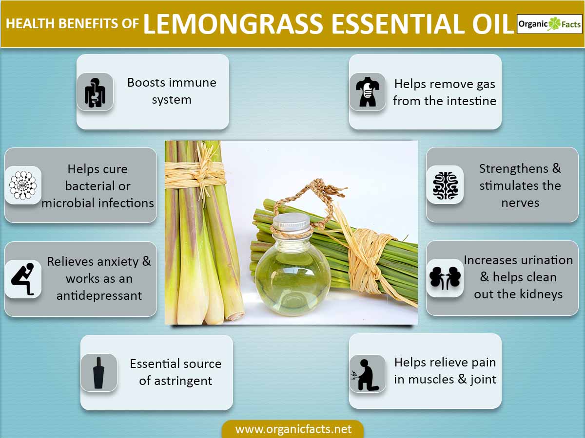 lemongrass
