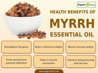 myrrh oils frankincense organicfacts amazing relieves spasms